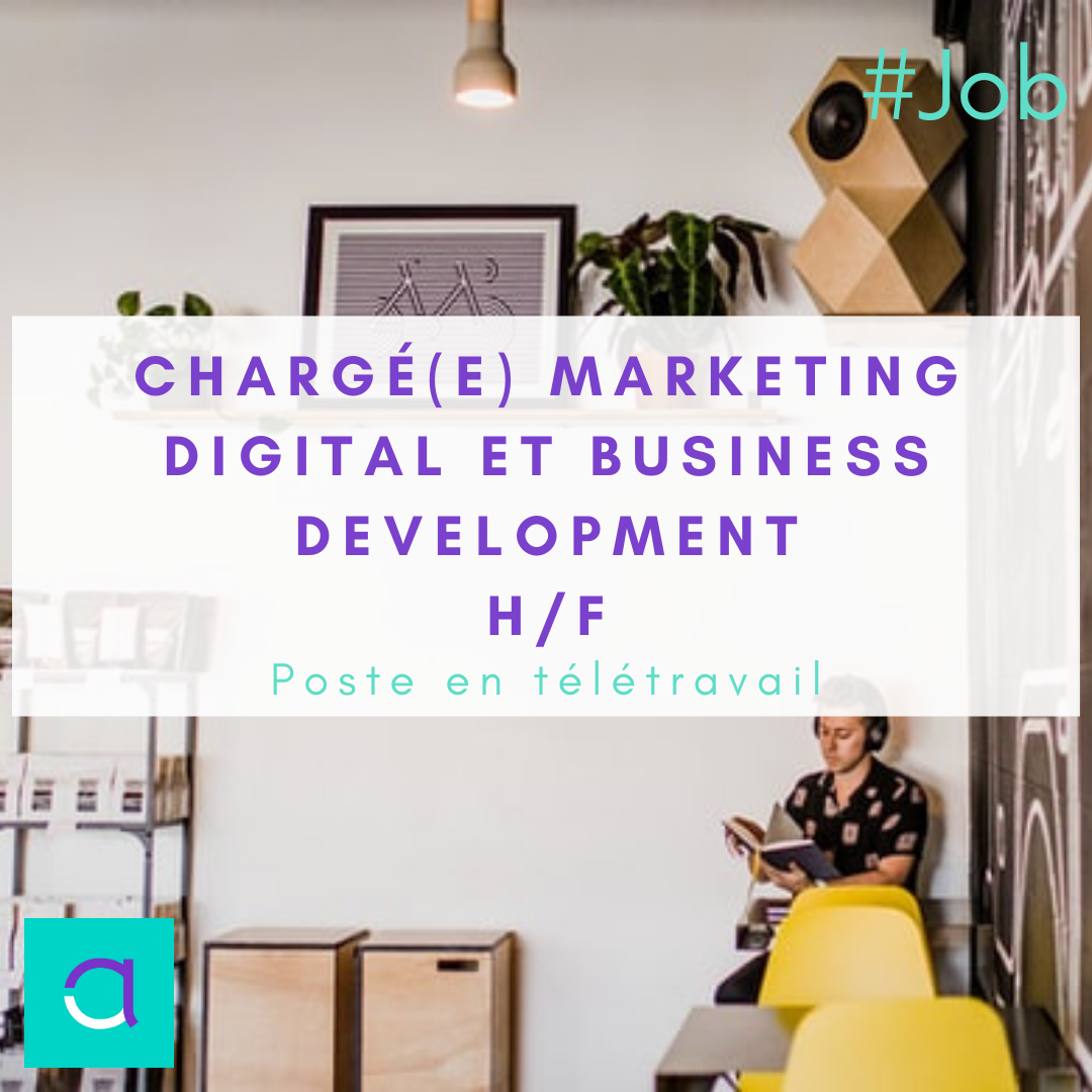 Marketing Digital et Business Development