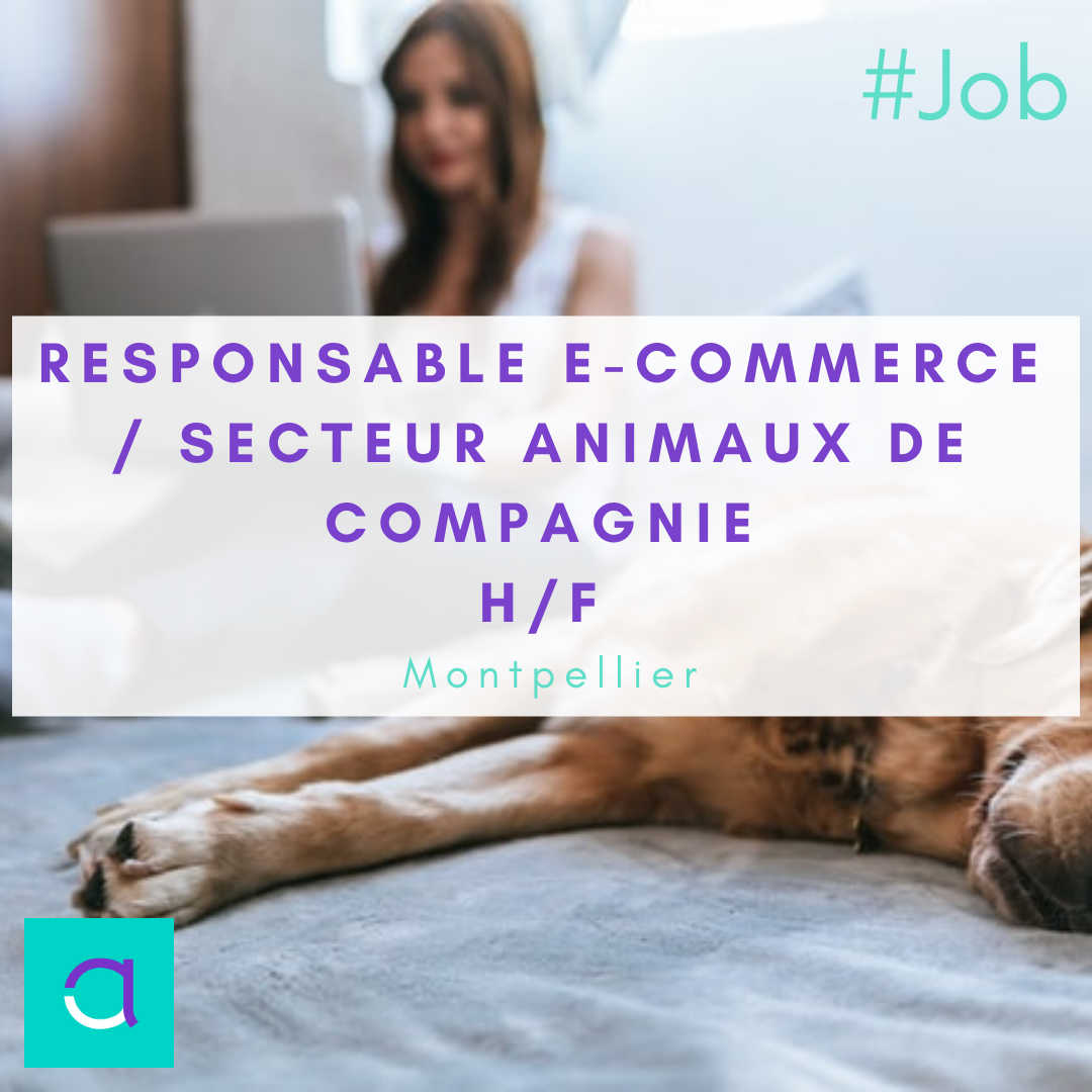 Responsable E-commerce