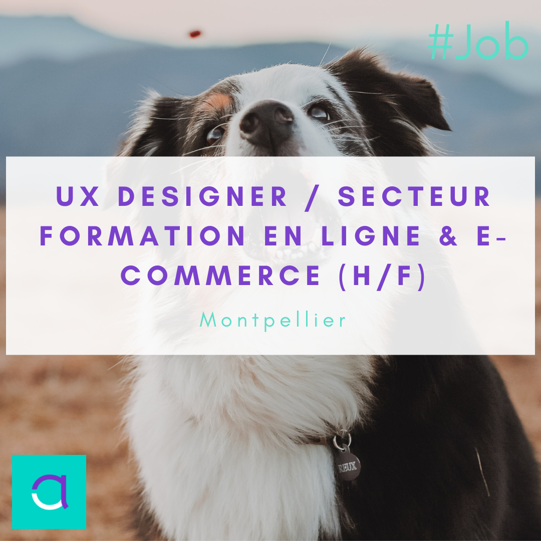 UX Designer / Secteur Formation en Ligne & e-Commerce