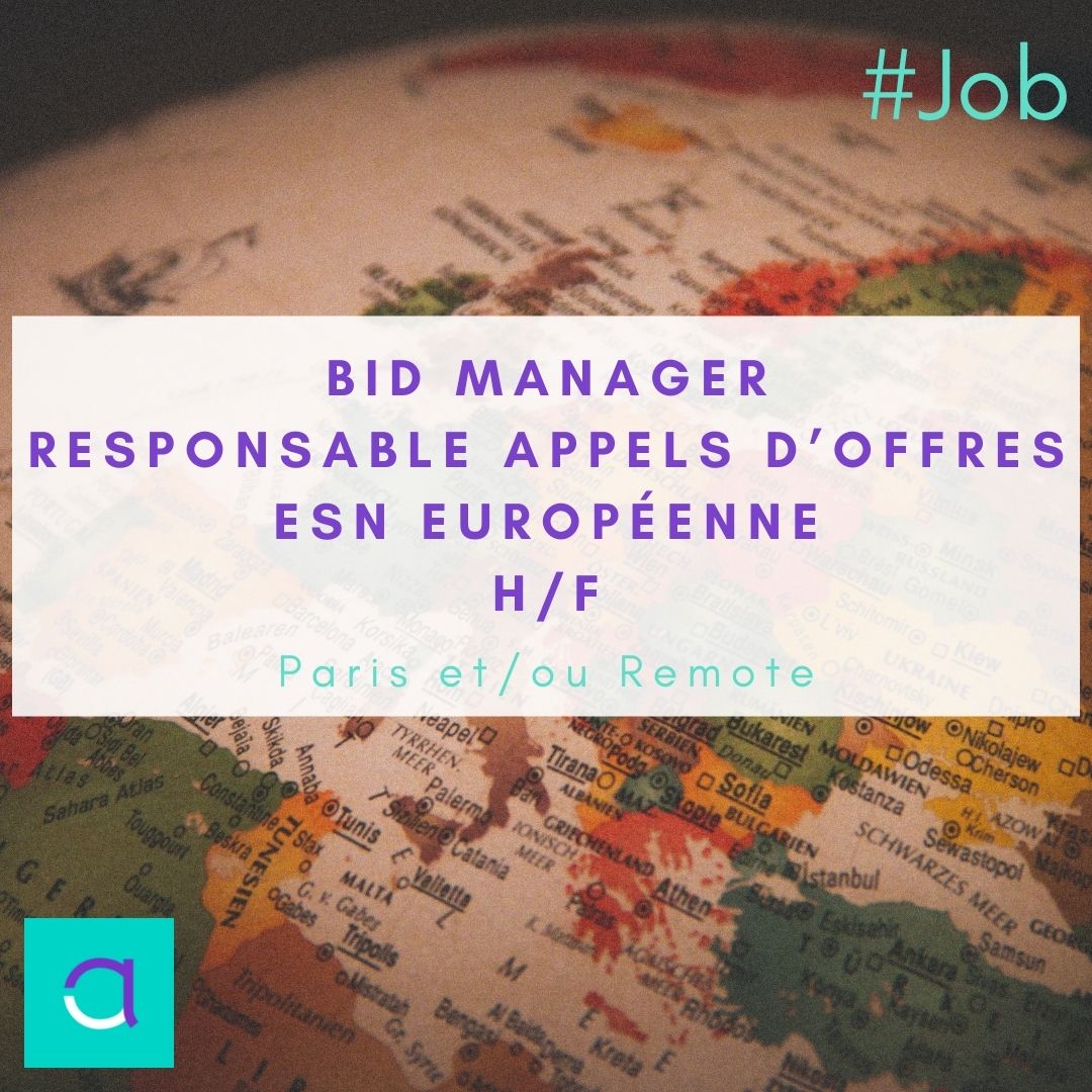 Offre d'emploi Bid Manager ESN Européenne