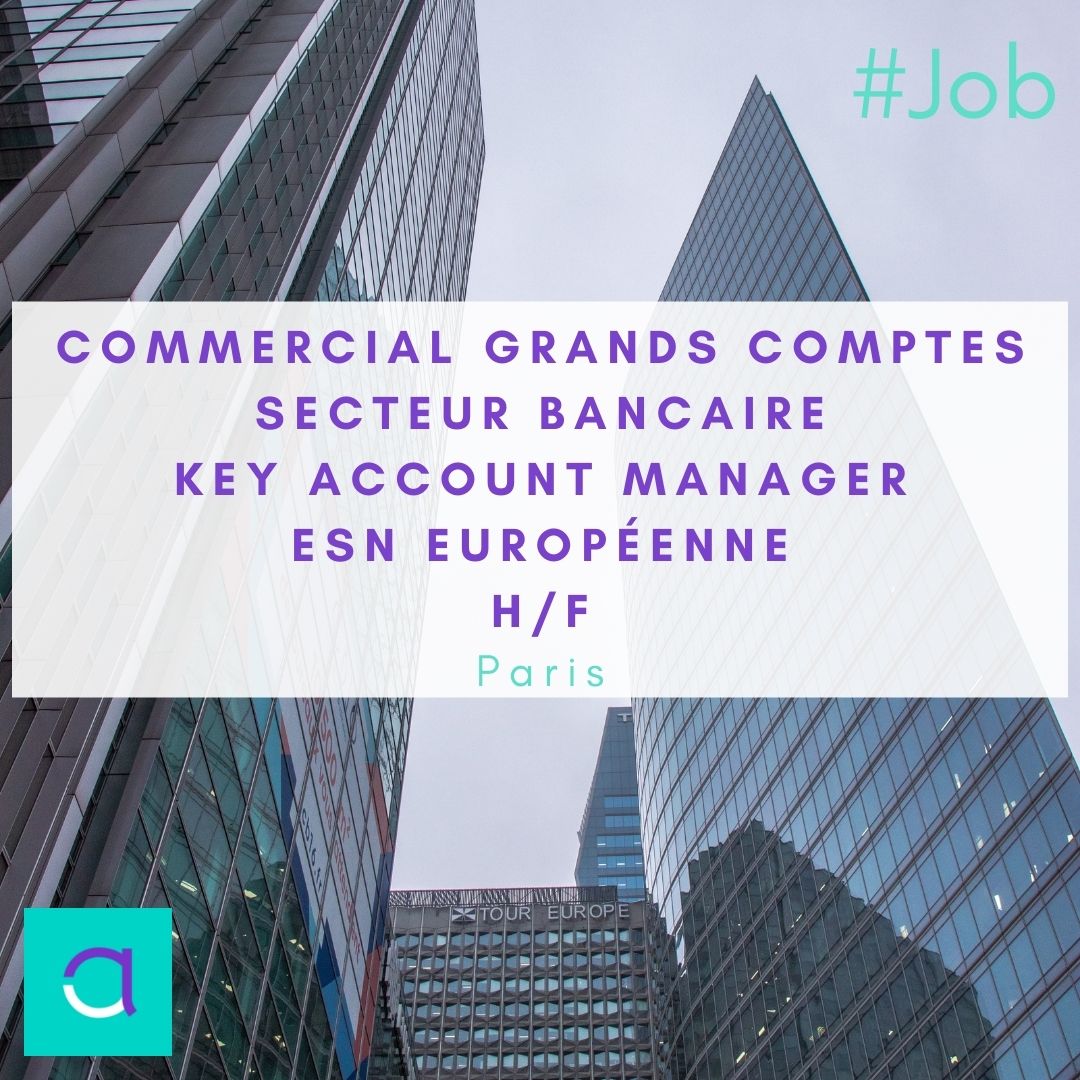 Offre d'emploi : Commercial Grands Comptes Secteur Bancaire - Key Account Manager