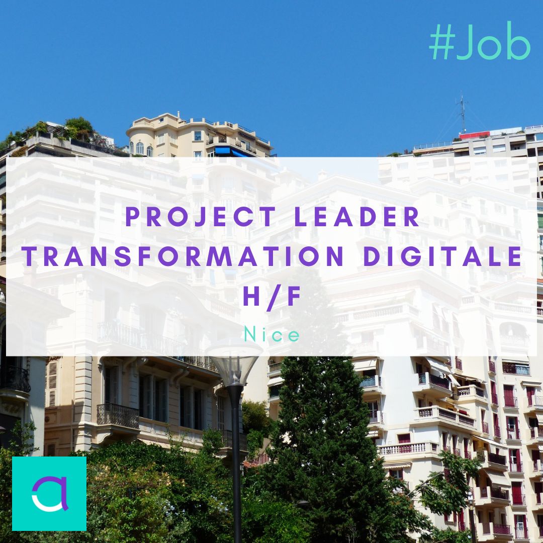 Emploi Project Leader Transformation Digitale