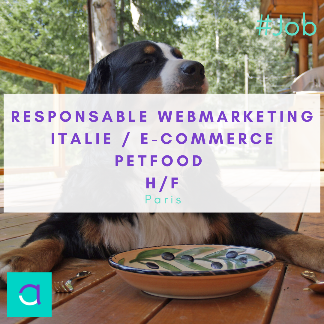 Responsable Webmarketing Italie