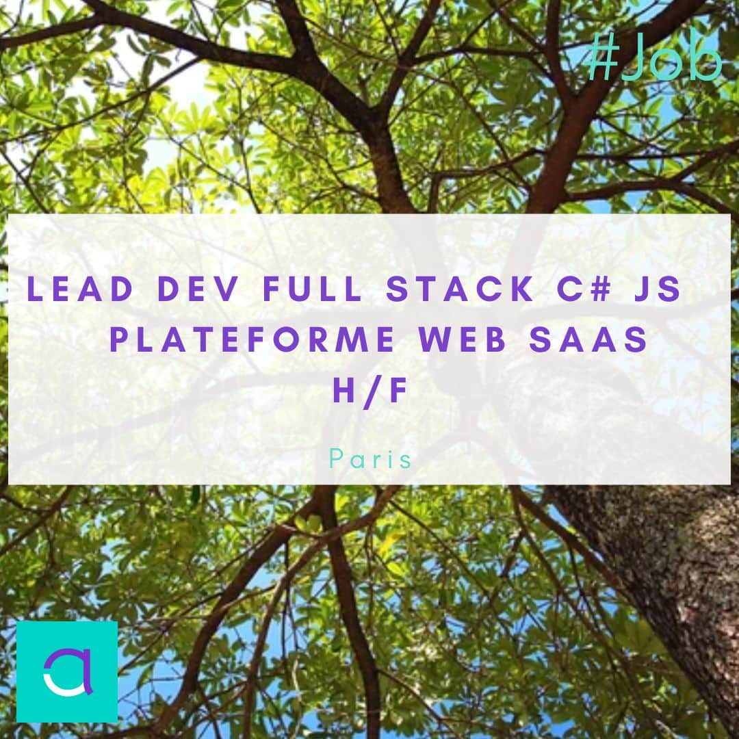Lead Dev Full stack