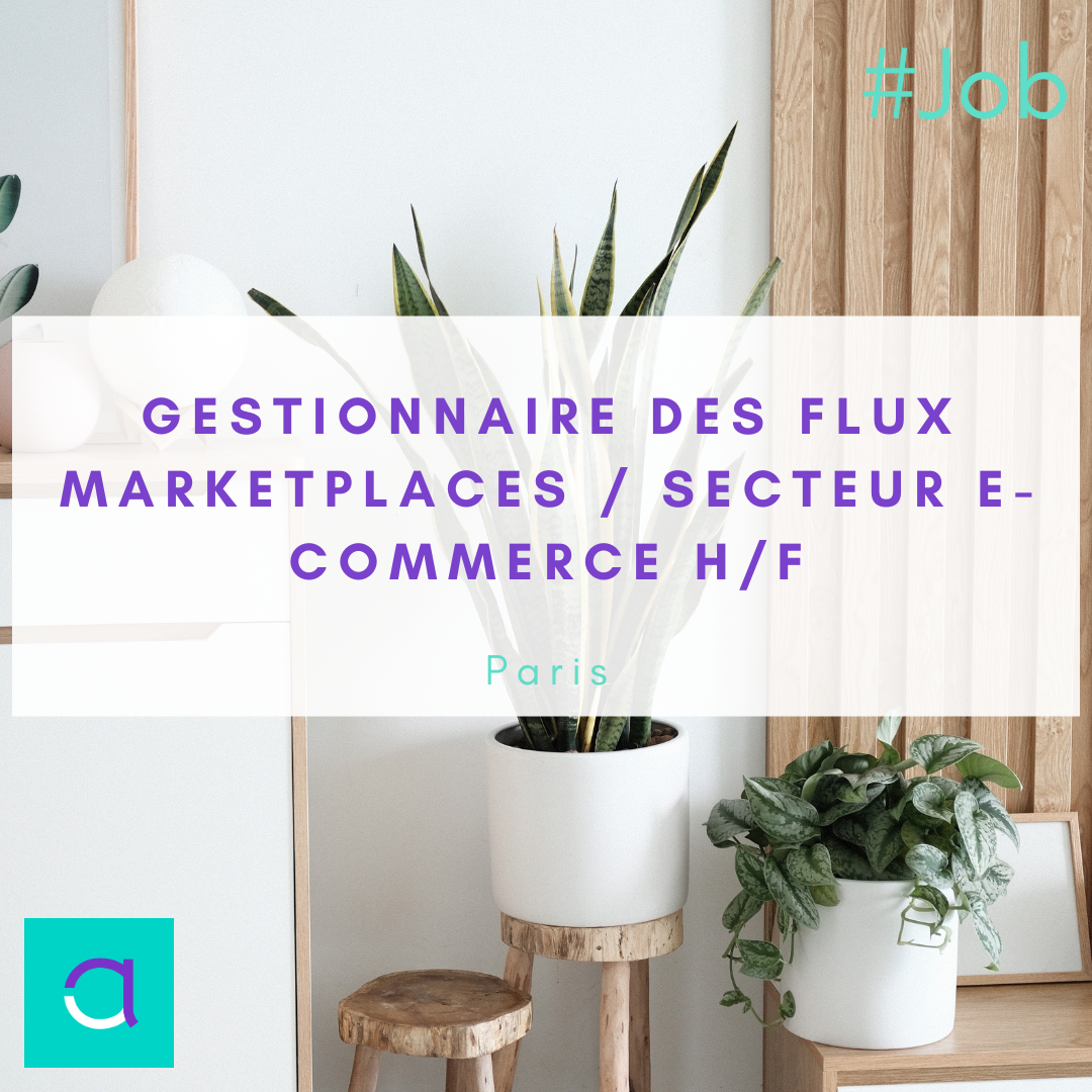 Gestionnaire des Flux Marketplaces 